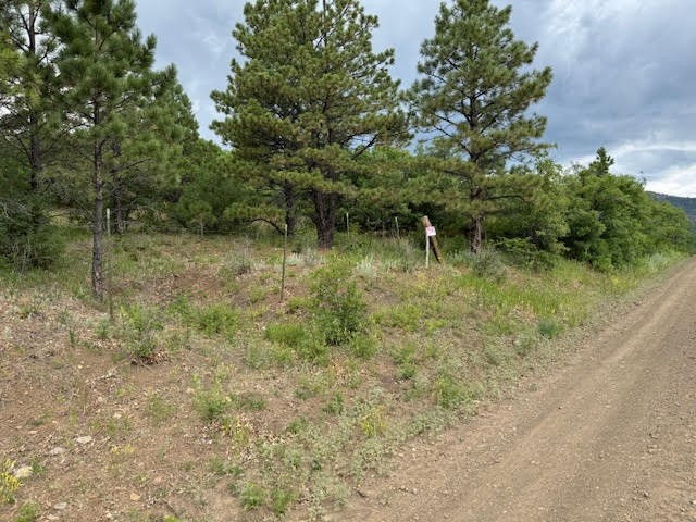 1 La Sierra Road Holman, NM 87723 - Photo 6 of 18