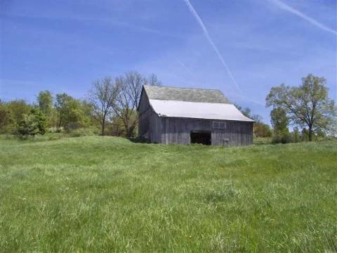 Vischer Road Brooklyn, MI 49230 - Photo 4 of 11 92156-3.JPG