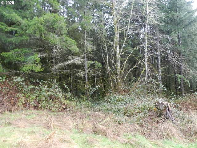 32934 Smith Road St. Helens, OR 97051 - Photo 28 of 30 Gallery Image 28