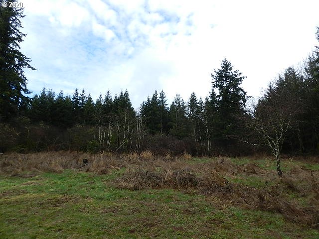 32934 Smith Road St. Helens, OR 97051 - Photo 29 of 30 Gallery Image 29