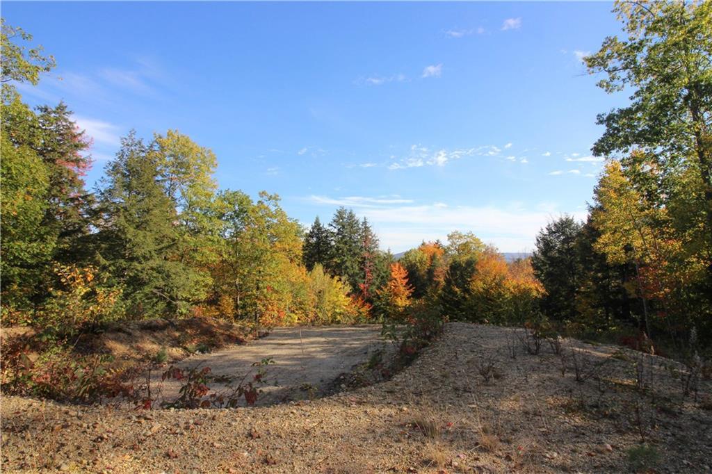 Tbd Brook Road Bethel, ME 04217 - Photo 5 of 13 Photo