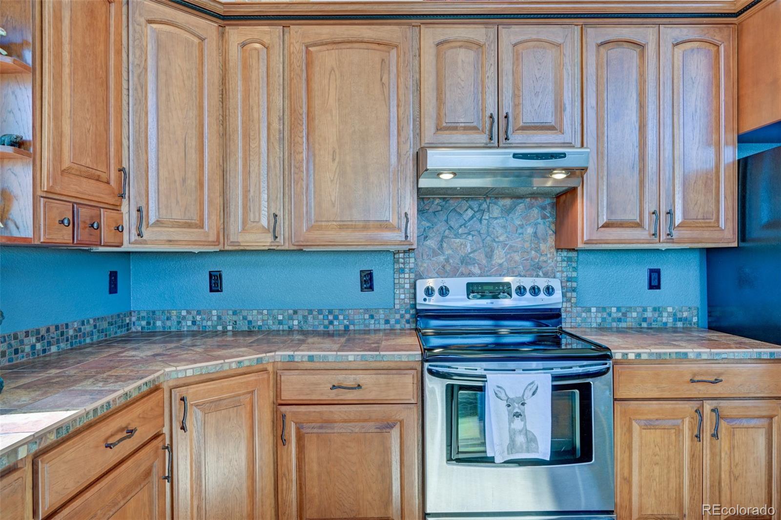 1136 Bellows Road Hartsel, CO 80449 - Photo 16 of 49