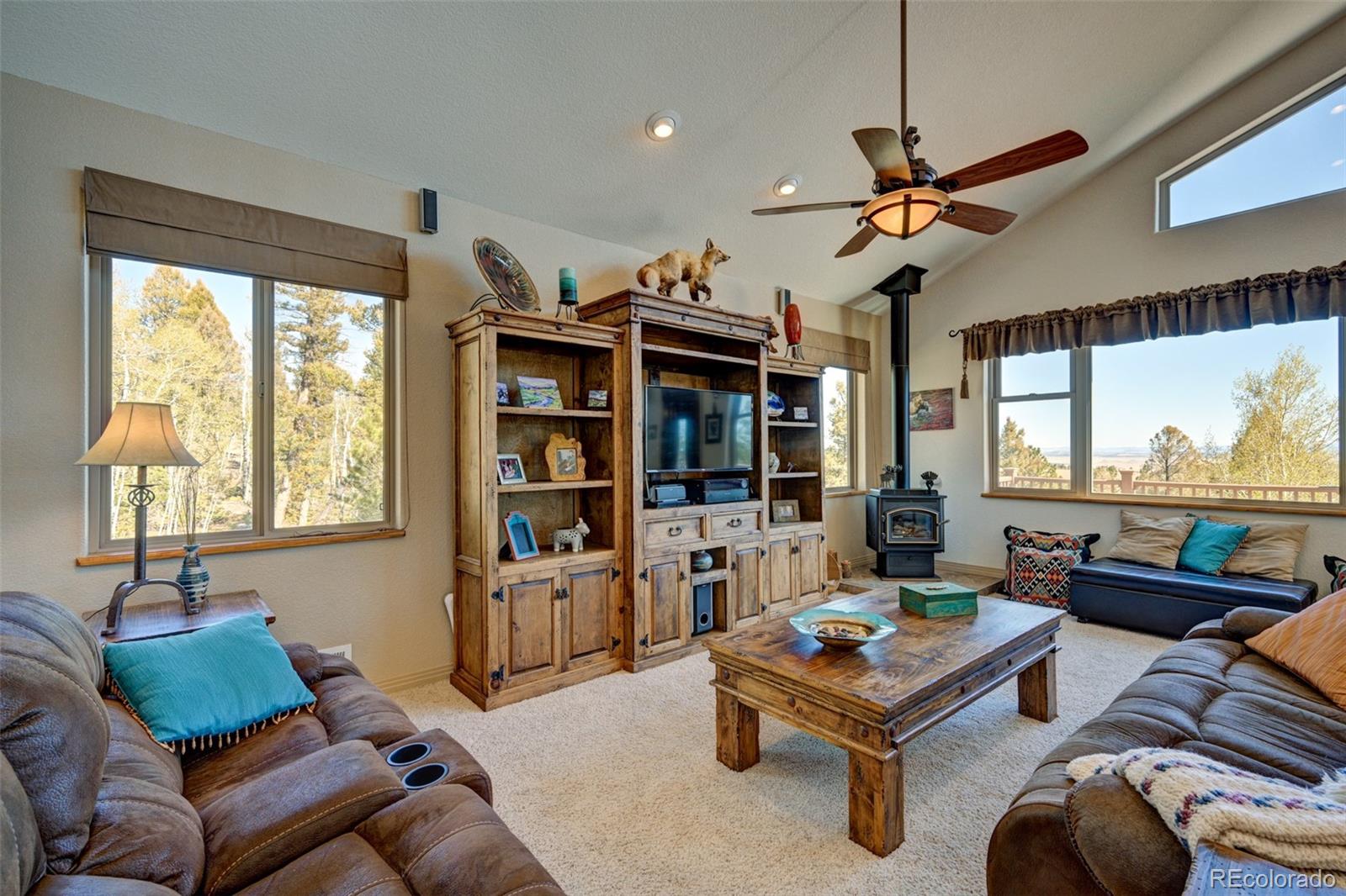 1136 Bellows Road Hartsel, CO 80449 - Photo 24 of 49