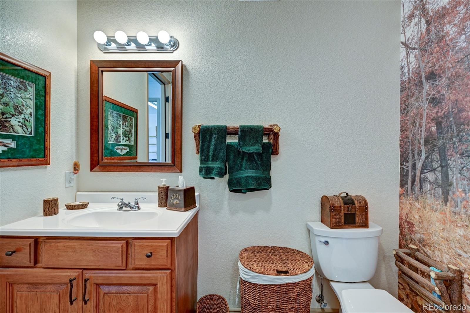 1136 Bellows Road Hartsel, CO 80449 - Photo 38 of 49