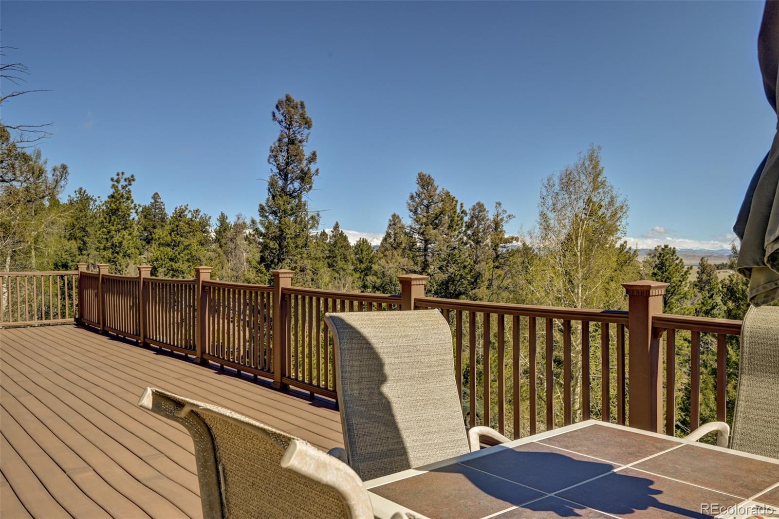 1136 Bellows Road Hartsel, CO 80449 - Photo 45 of 49