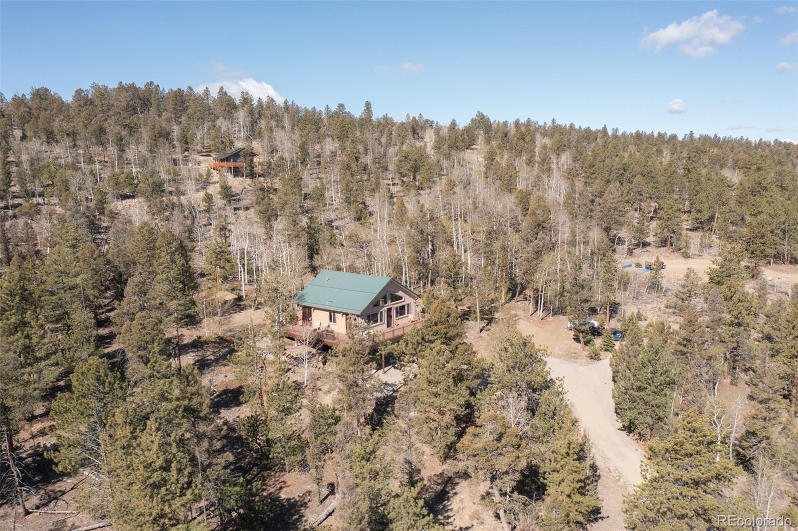 1136 Bellows Road Hartsel, CO 80449 - Photo 7 of 49