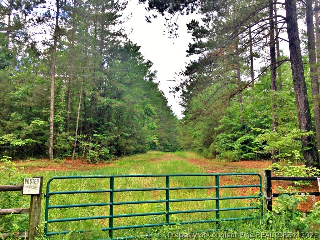 Valley Road Sanford, NC 27330 - Photo 3 of 5 a view of a bench under a tree