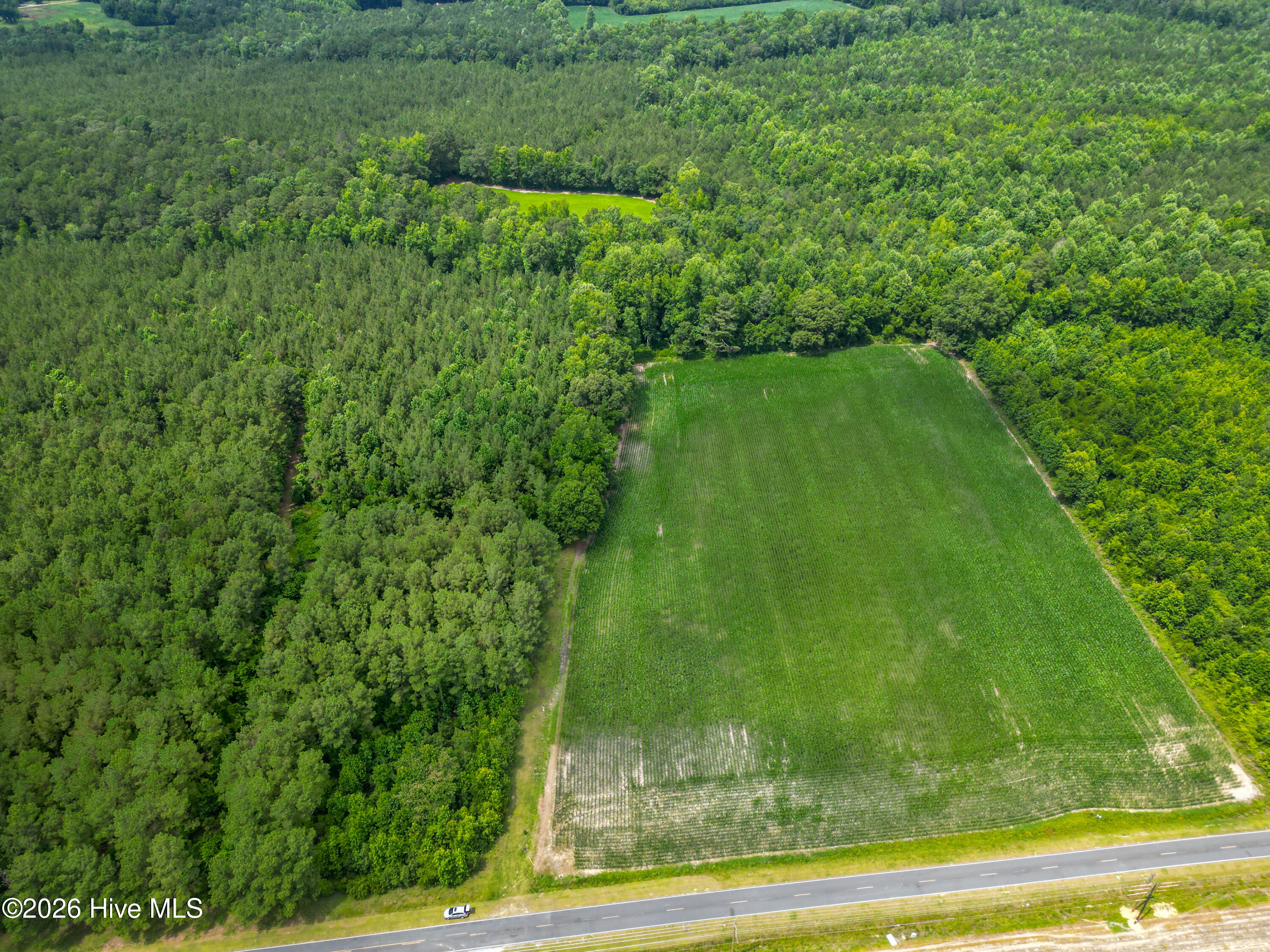 Tbd Farmers Union Road Clarkton, NC 28433 - Photo 3 of 13