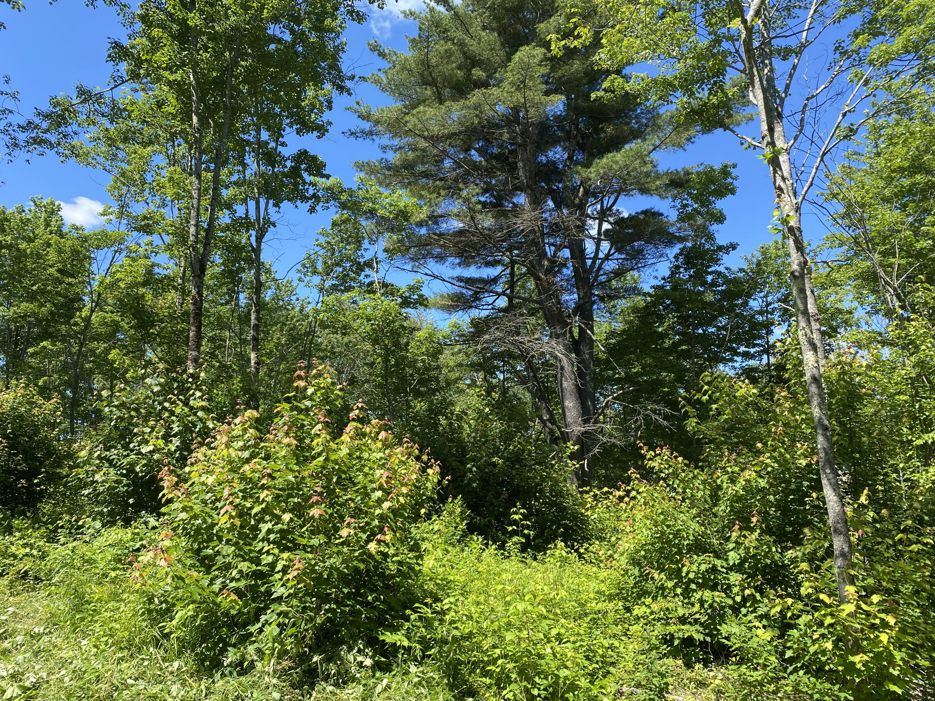 Lot B2 Clements Road Monroe, ME 04951 - Photo 9 of 10 70873C35-AE11-4B1A-BEC7-D0D497043442