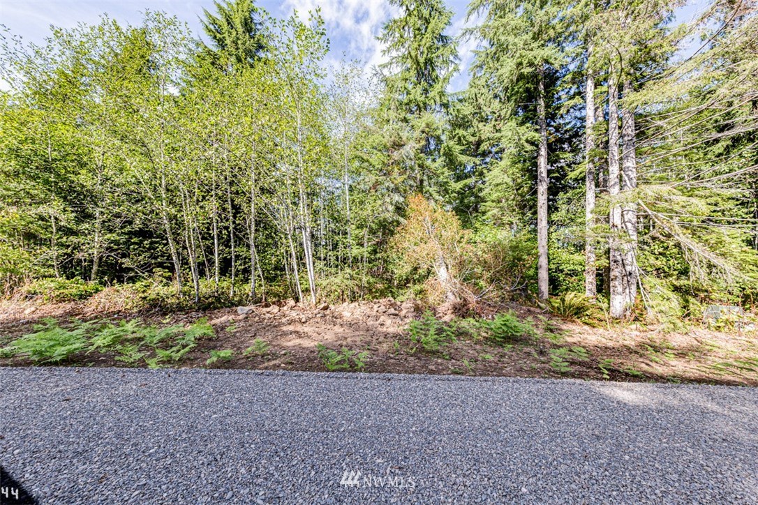 99944 Thomas Street Forks, WA 98331 - Photo 3 of 5 Gallery Image 3