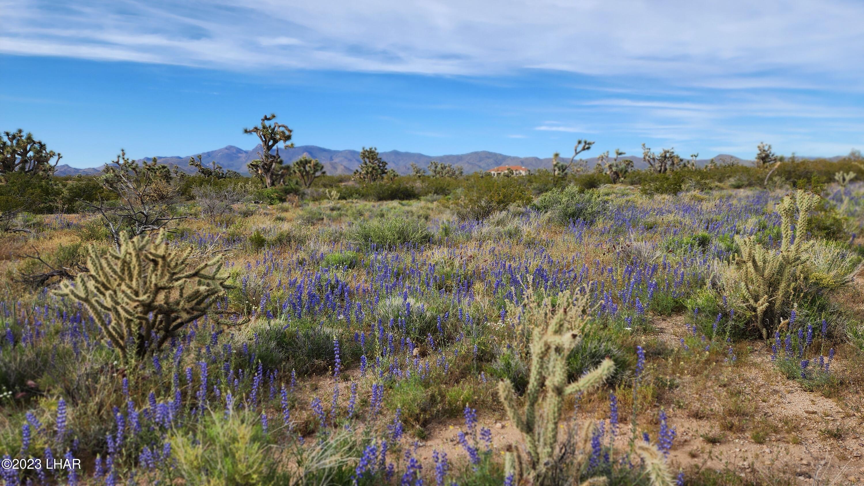 2076 South Cheyenne (30acres Well/septic) Road Yucca, AZ 86438 - Photo 1 of 26 20230422_171326