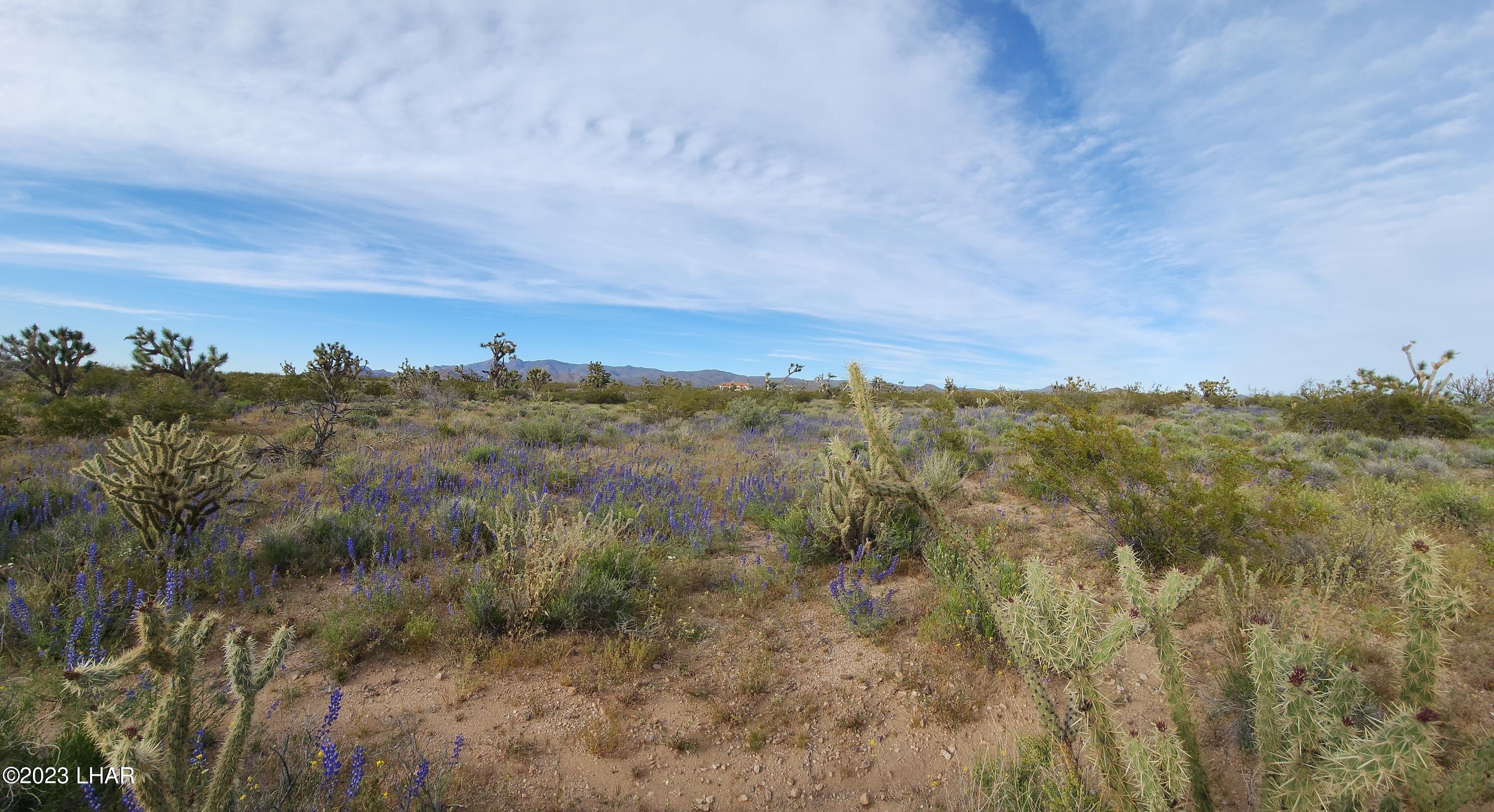 2076 South Cheyenne (30acres Well/septic) Road Yucca, AZ 86438 - Photo 15 of 26 20230422_171345