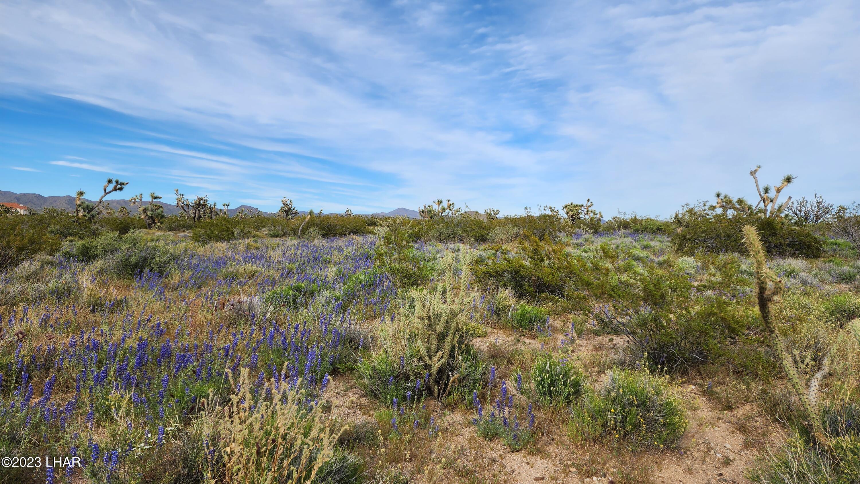 2076 South Cheyenne (30acres Well/septic) Road Yucca, AZ 86438 - Photo 17 of 26 20230422_171424