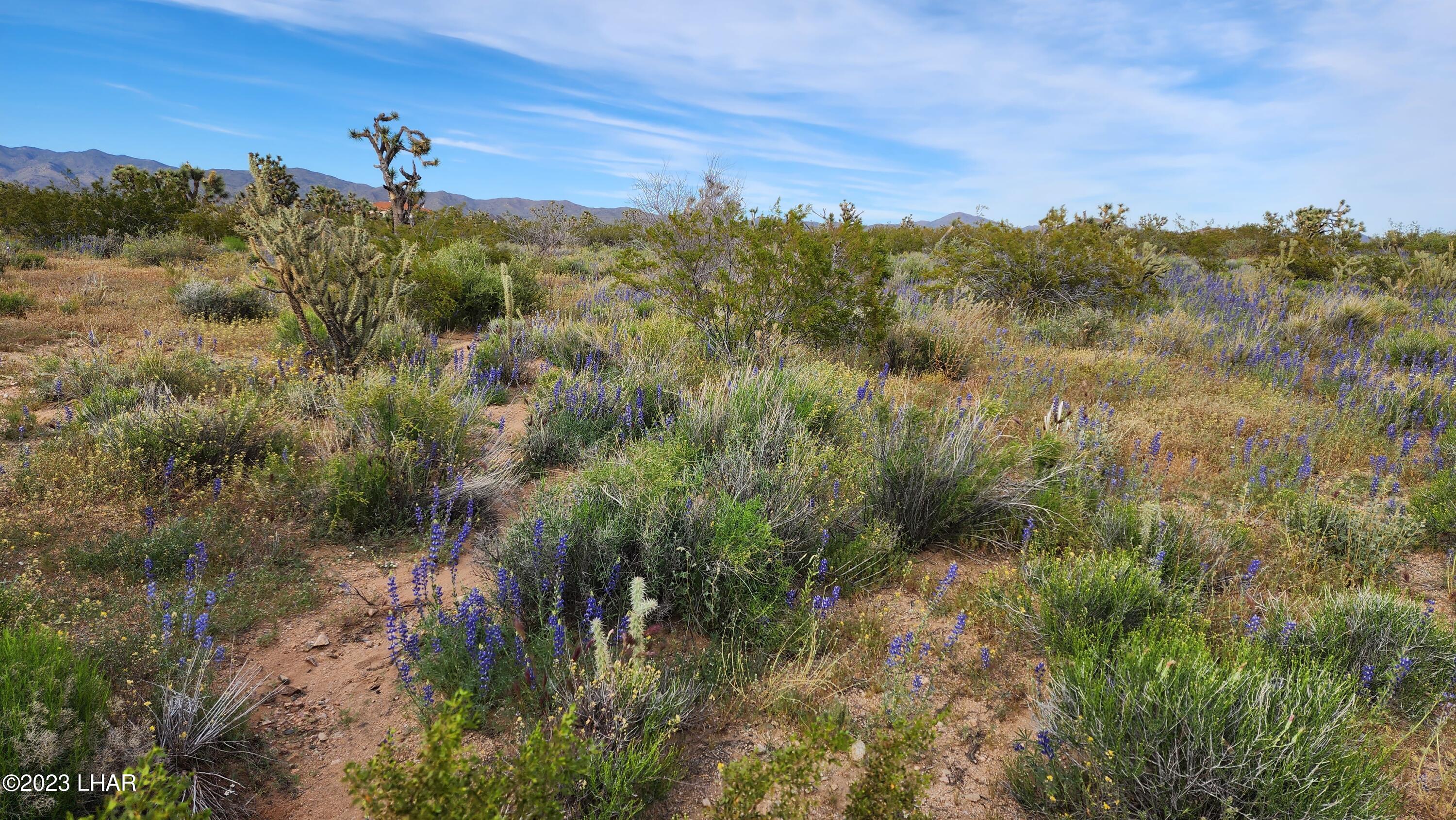 2076 South Cheyenne (30acres Well/septic) Road Yucca, AZ 86438 - Photo 18 of 26 20230422_171456