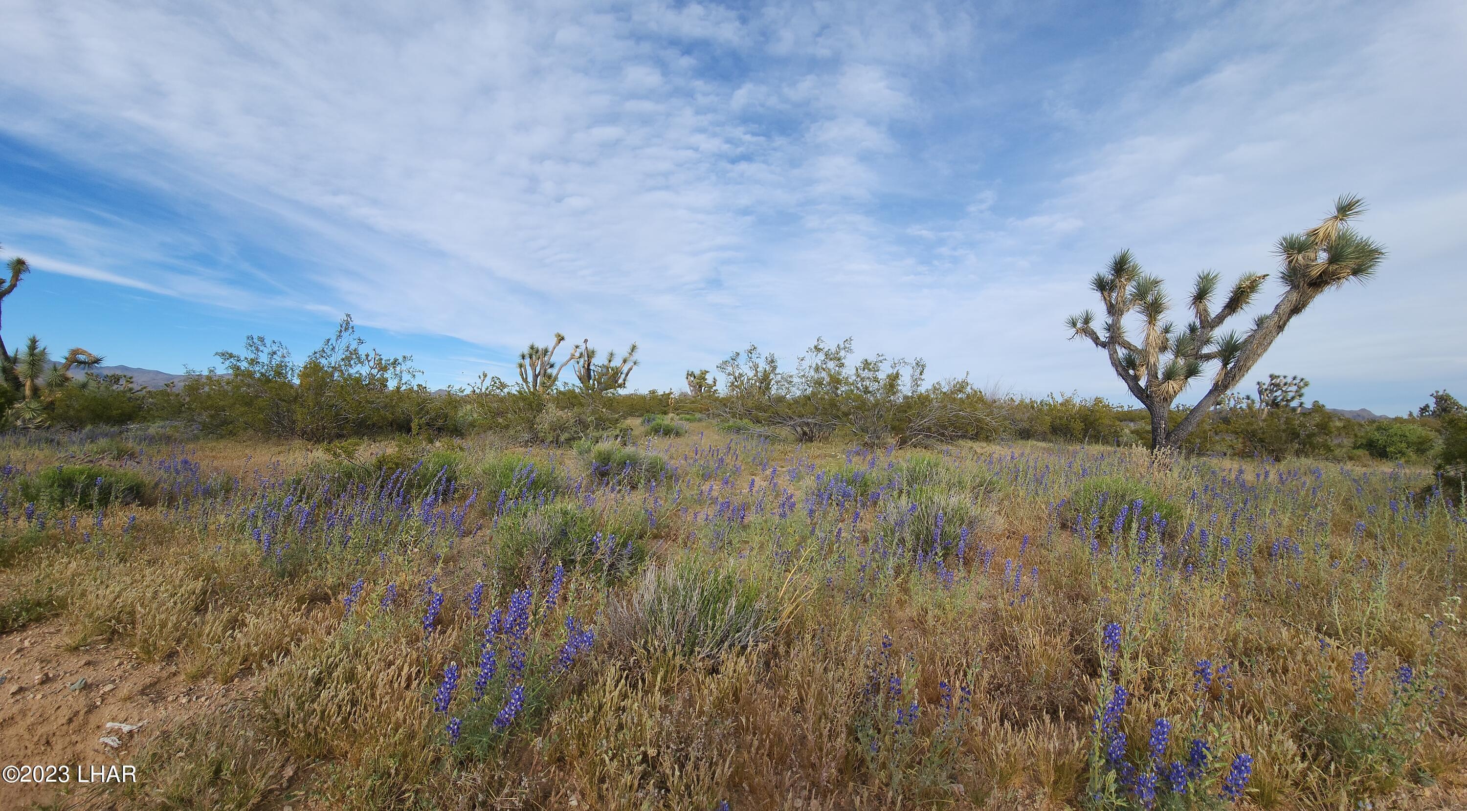 2076 South Cheyenne (30acres Well/septic) Road Yucca, AZ 86438 - Photo 20 of 26 20230422_172318