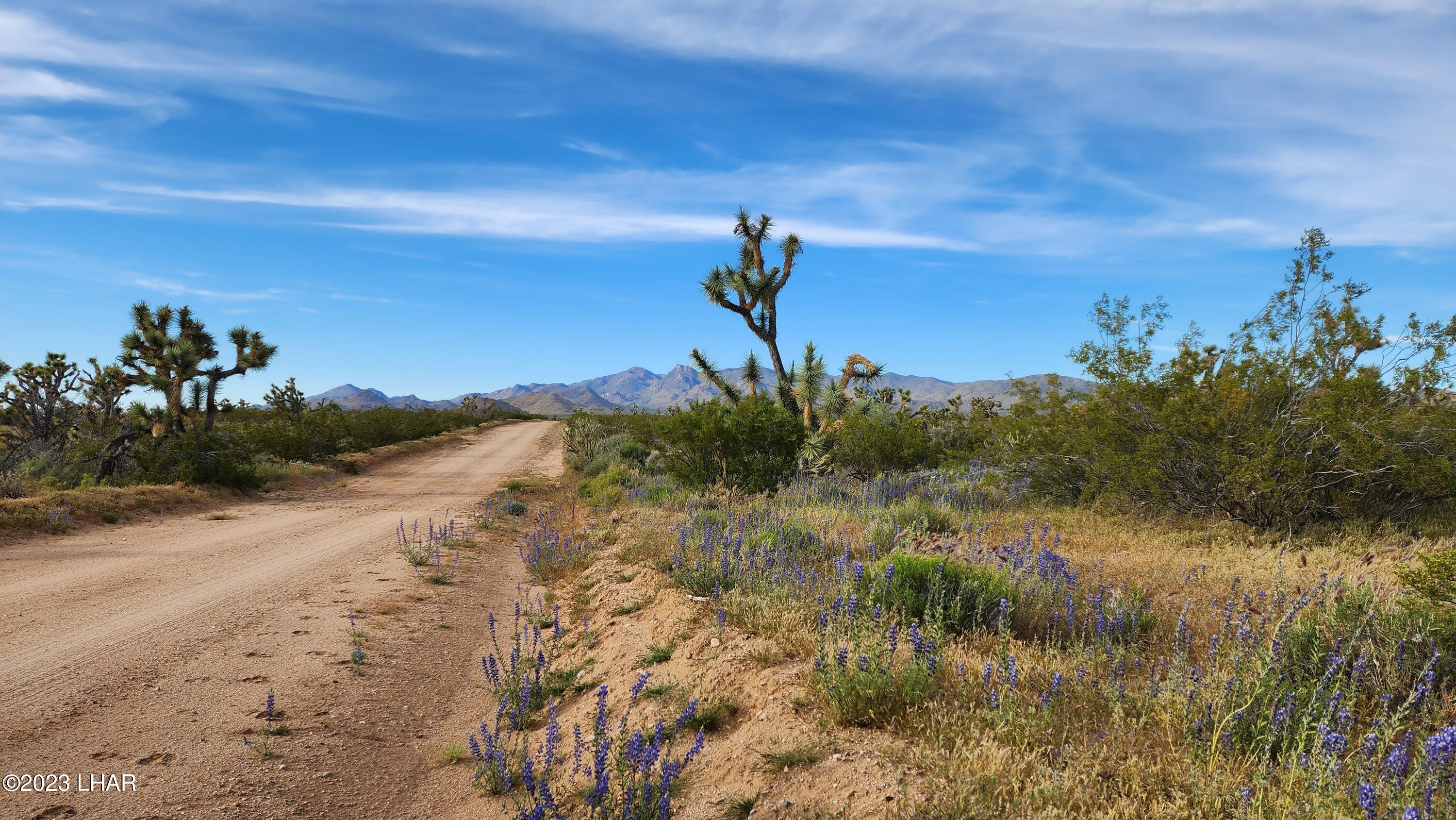 2076 South Cheyenne (30acres Well/septic) Road Yucca, AZ 86438 - Photo 2 of 26 North view on Cheyenne Rd