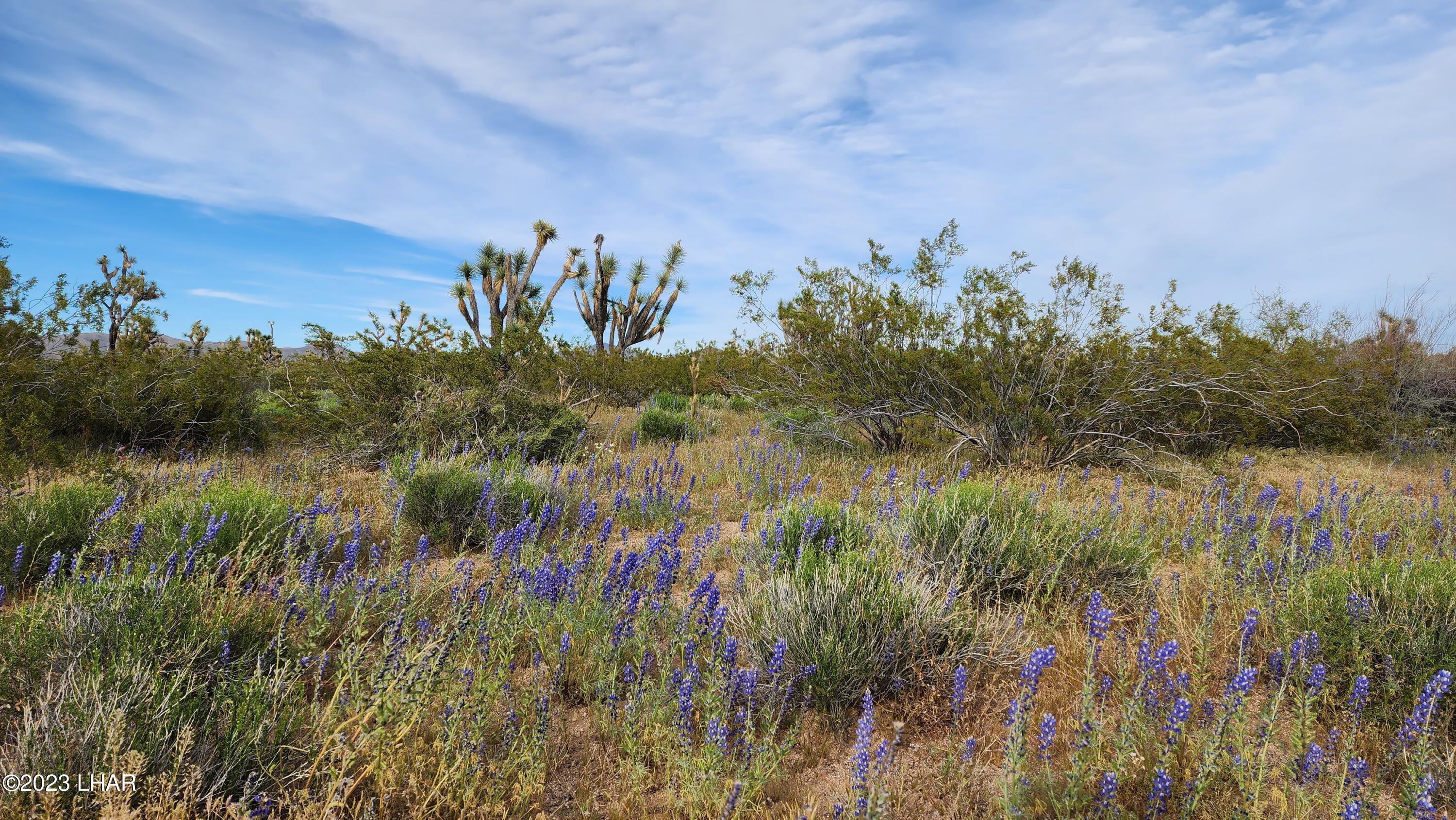 2076 South Cheyenne (30acres Well/septic) Road Yucca, AZ 86438 - Photo 22 of 26 20230422_172343