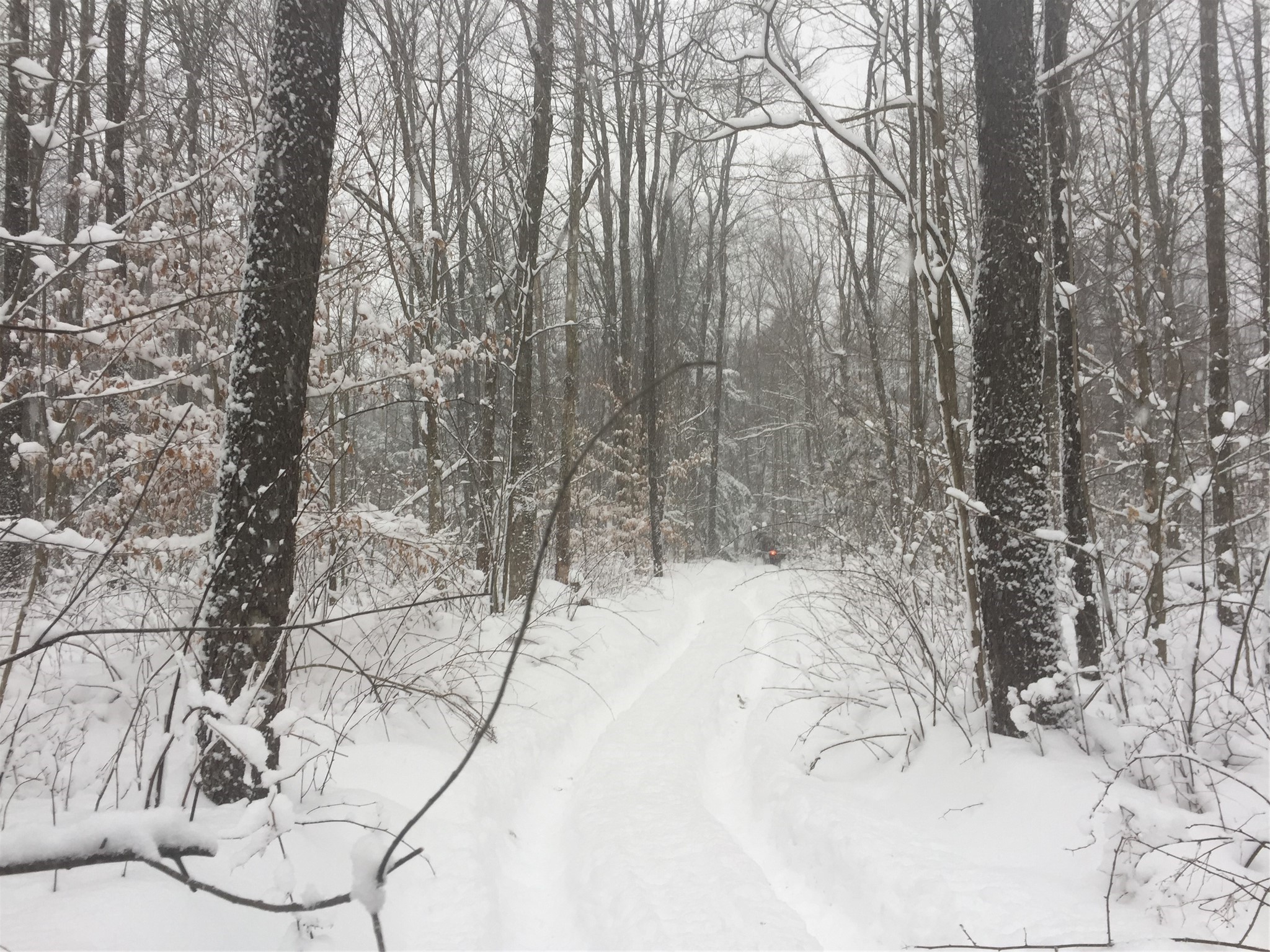 0 New Road North East, PA 16428 - Photo 10 of 11 Gallery Image 10
