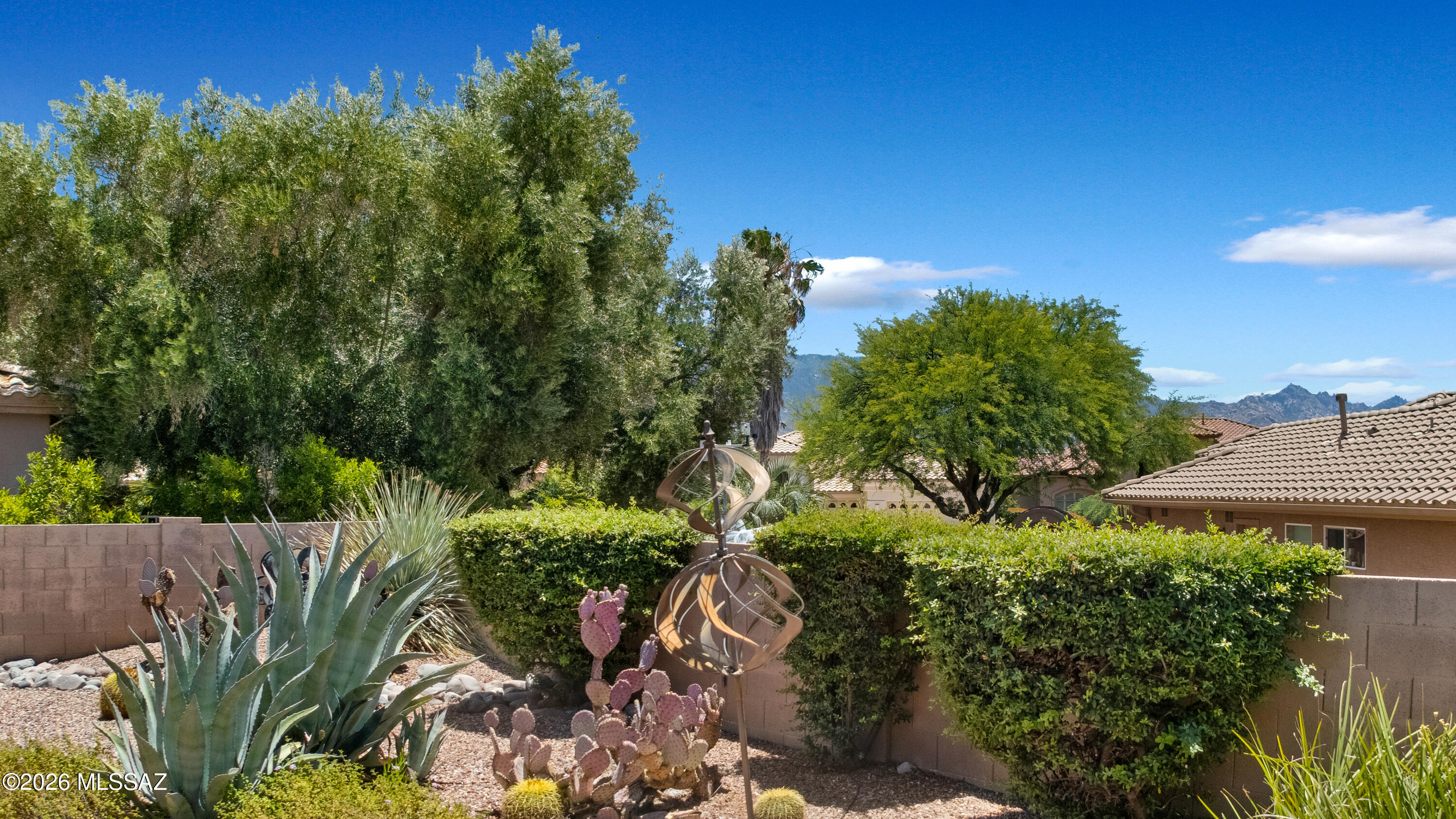 62441 East Northwood Road Tucson, AZ 85739 - Photo 33 of 37 Back patio