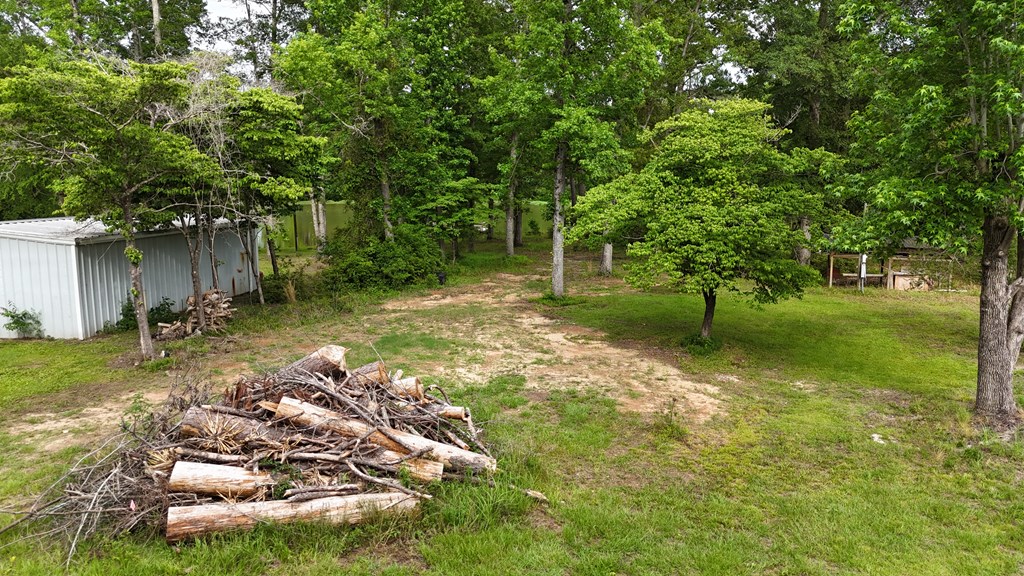 0 Hudspeth Drive Abbeville, AL 36310 - Photo 13 of 15