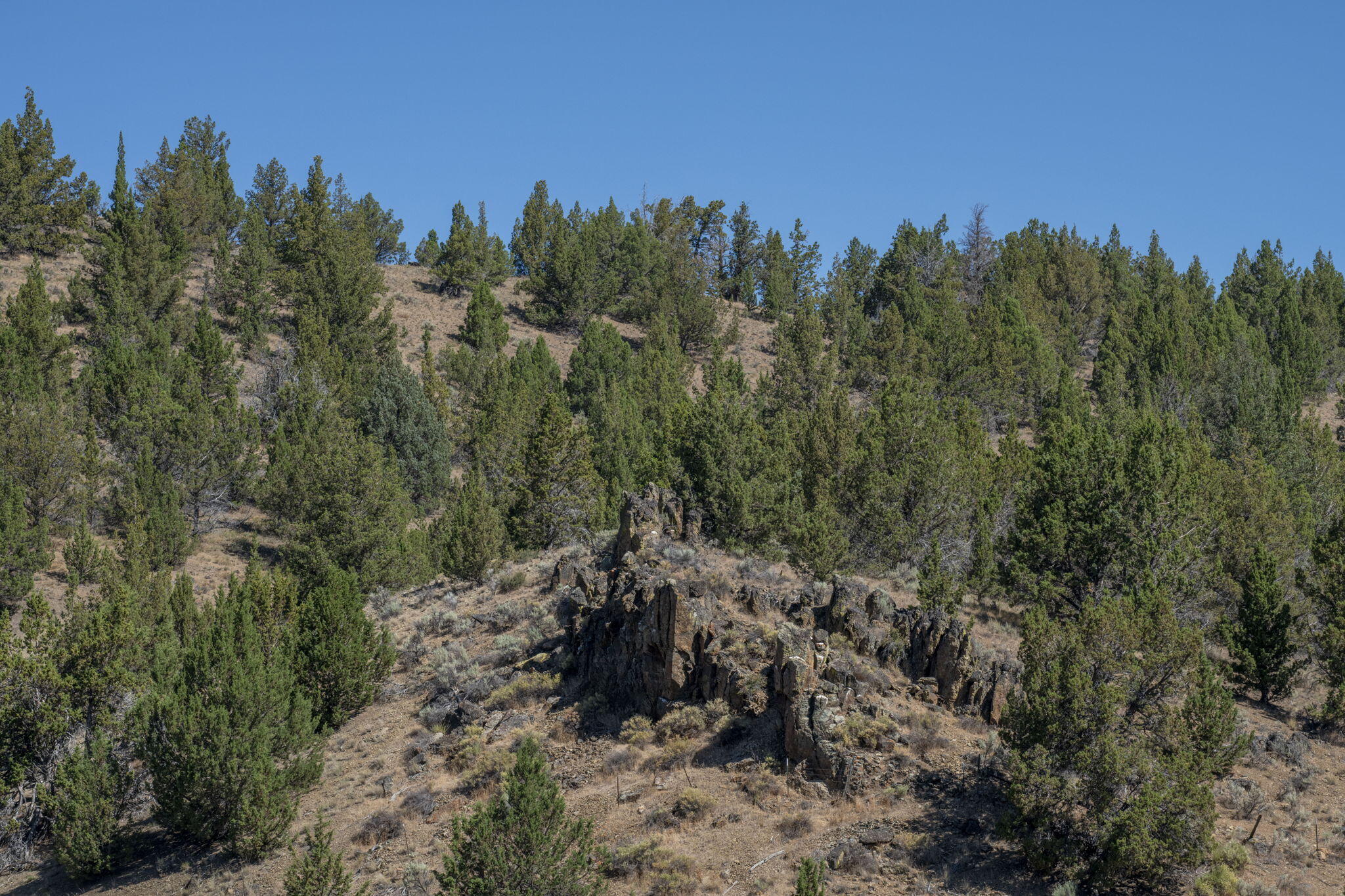 32500 Tackman Road Prineville, OR 97754 - Photo 101 of 112