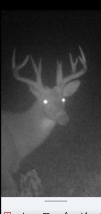 V/l Cade Road Capac, MI 48014 - Photo 6 of 51