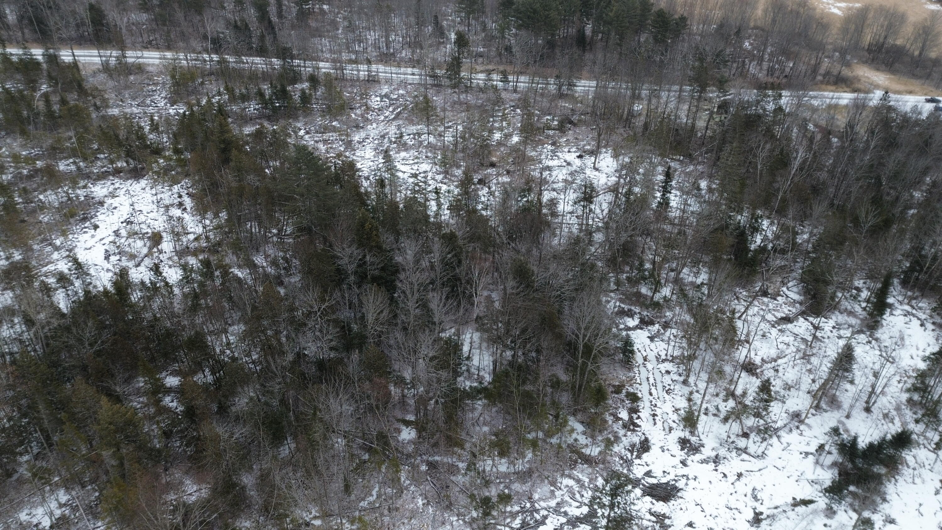 Lot 6 Sebec Village Road Sebec, ME 04481 - Photo 11 of 19 DJI_0478
