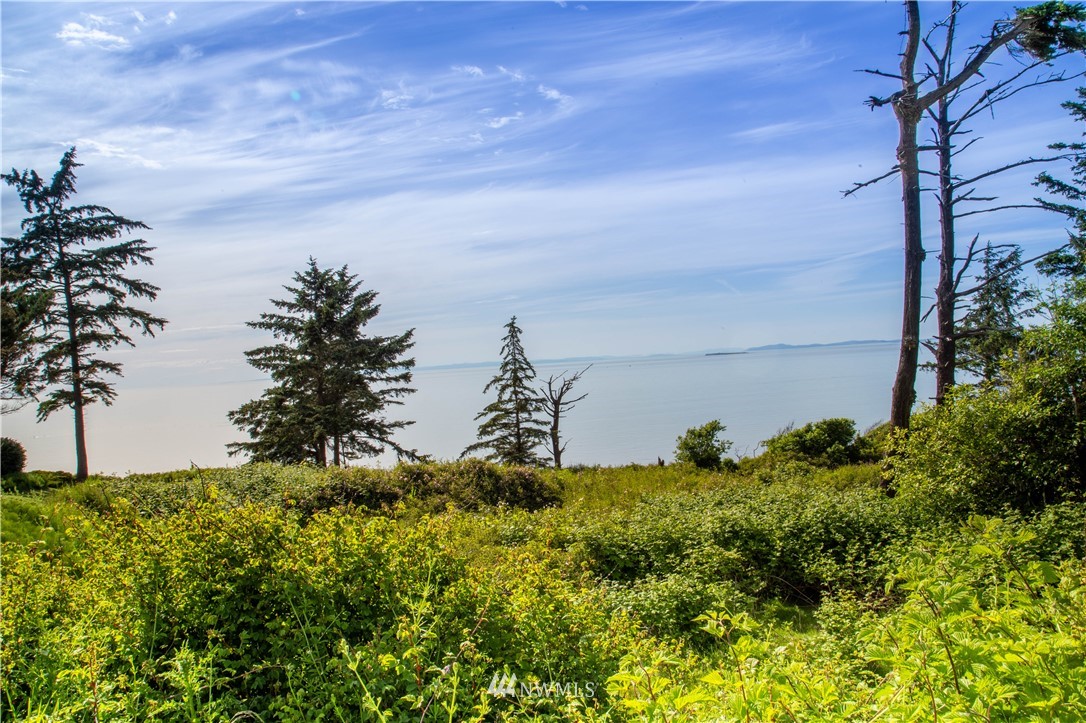 1447 West Beach Road Oak Harbor, WA 98277 - Photo 18 of 18 Gallery Image 18