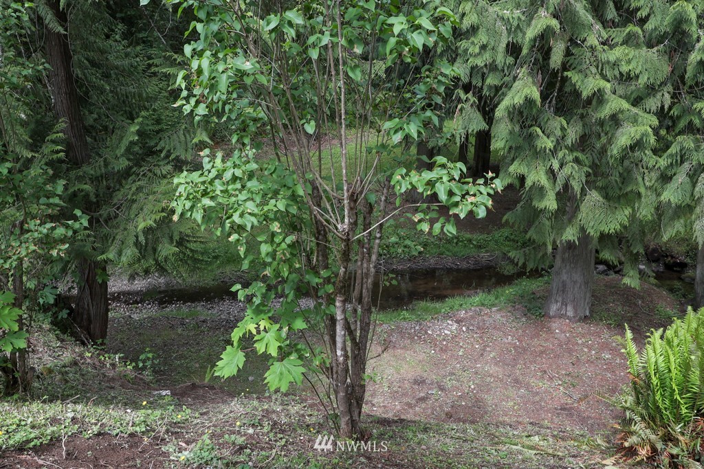 25308 Brooks Road East Orting, WA 98360 - Photo 13 of 40 a view of a yard