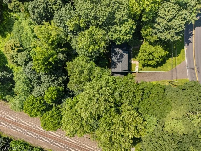 a view of a yard with plants