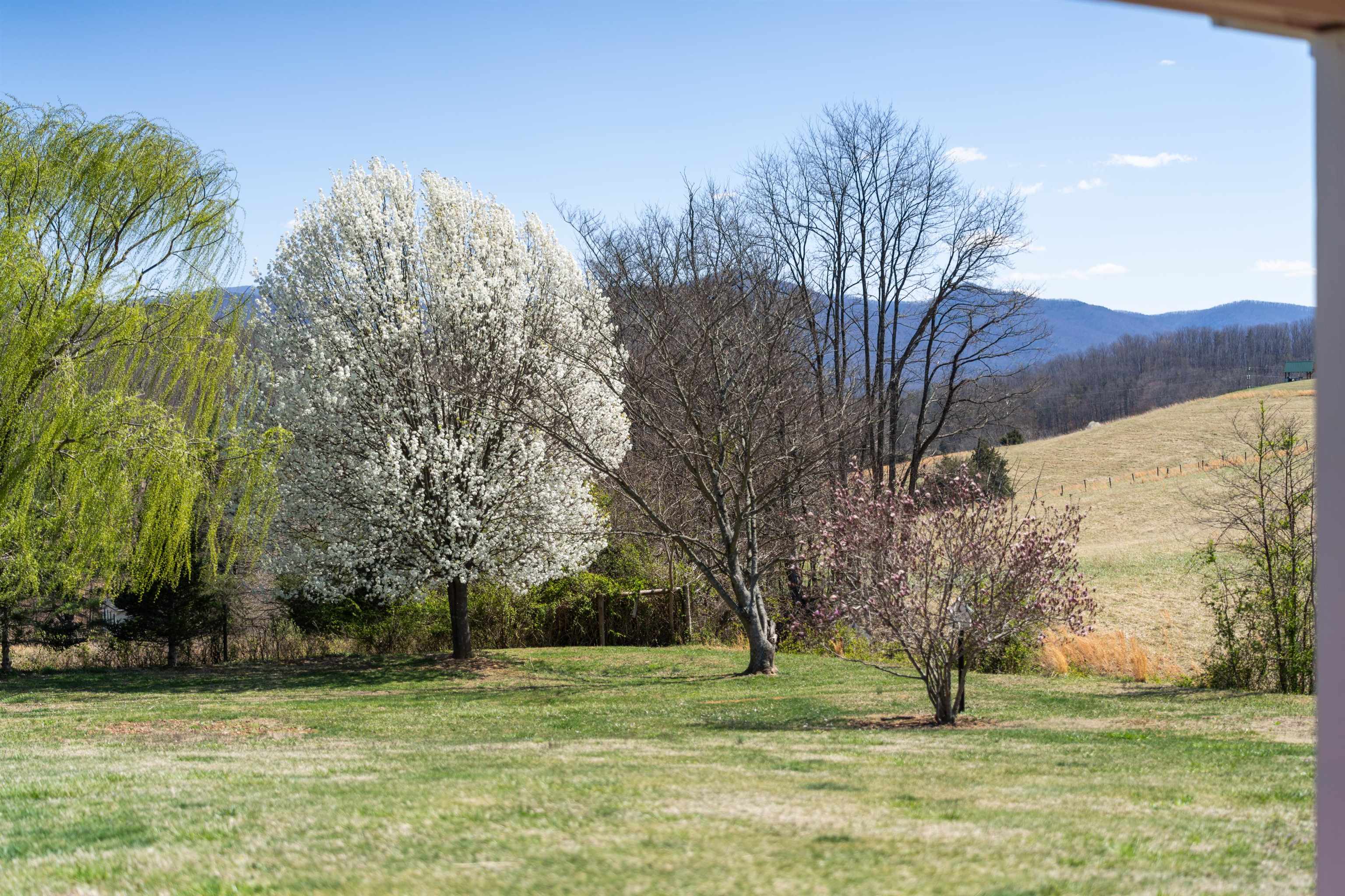 899 Timber Ridge Road Fairfield, VA 24435 - Photo 25 of 65 a view of a field with trees
