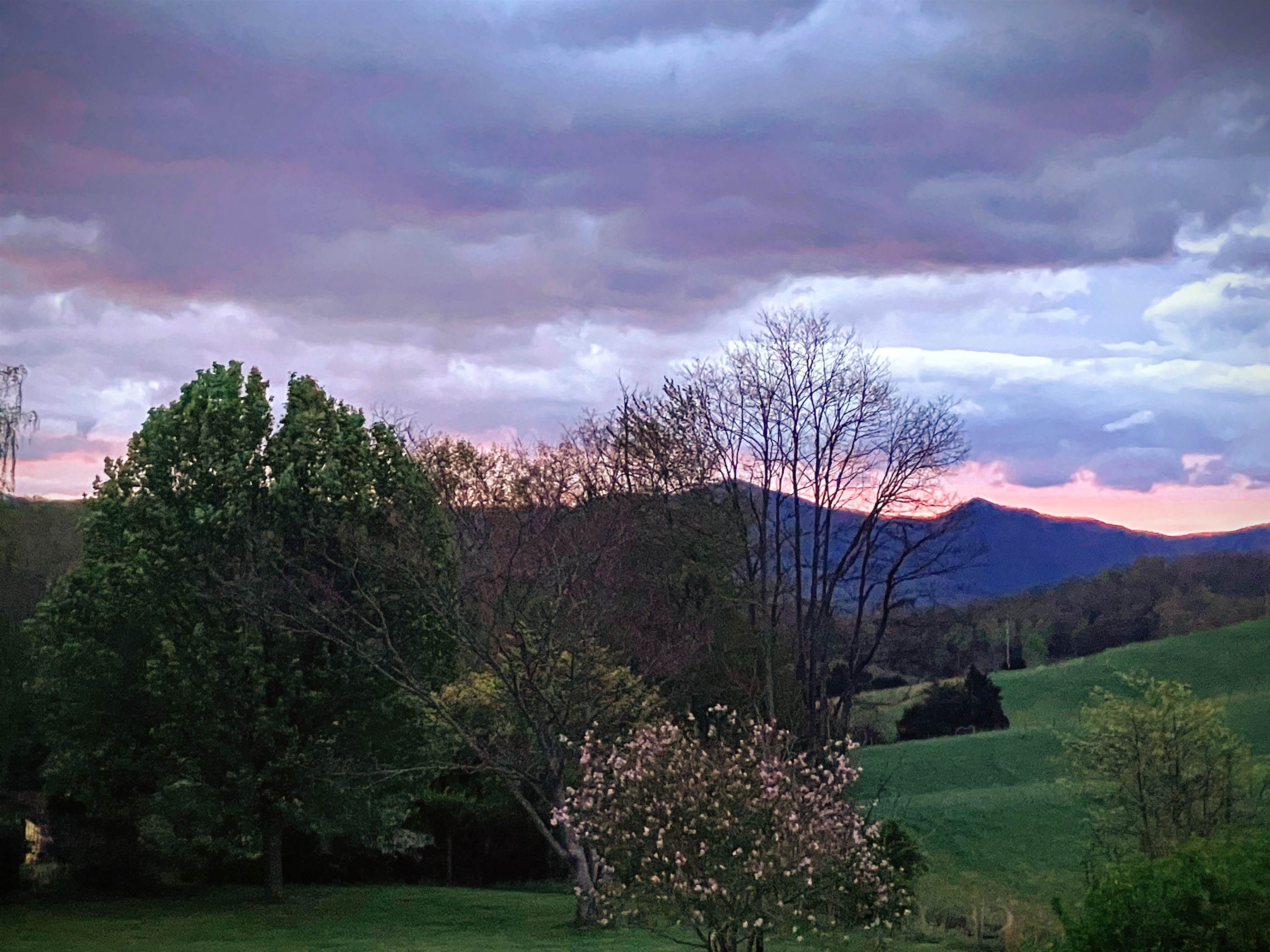 899 Timber Ridge Road Fairfield, VA 24435 - Photo 26 of 65 a view of a yard in front of house with a yard