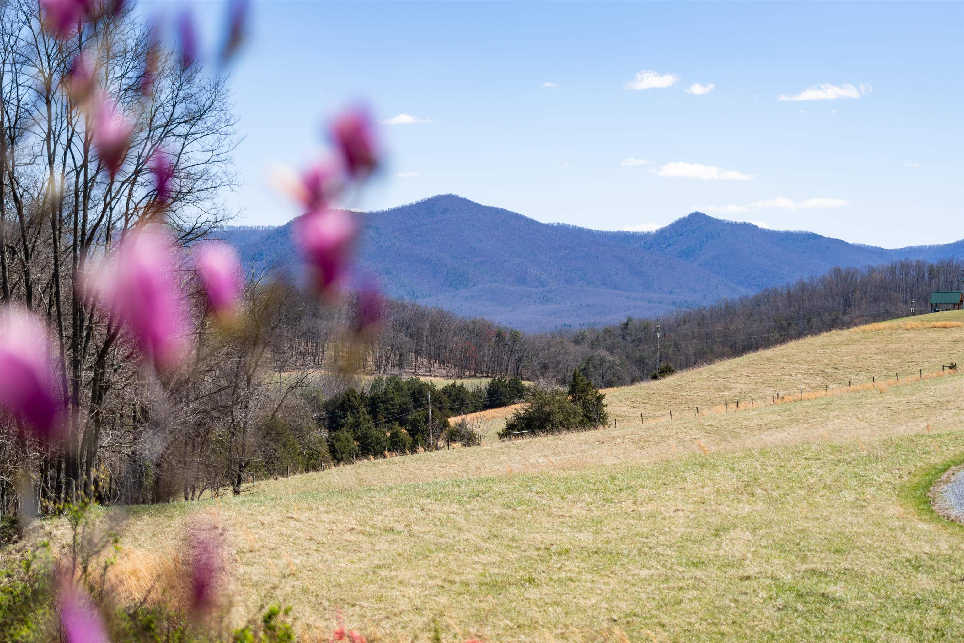 899 Timber Ridge Road Fairfield, VA 24435 - Photo 4 of 65 Beautiful Mountain Views