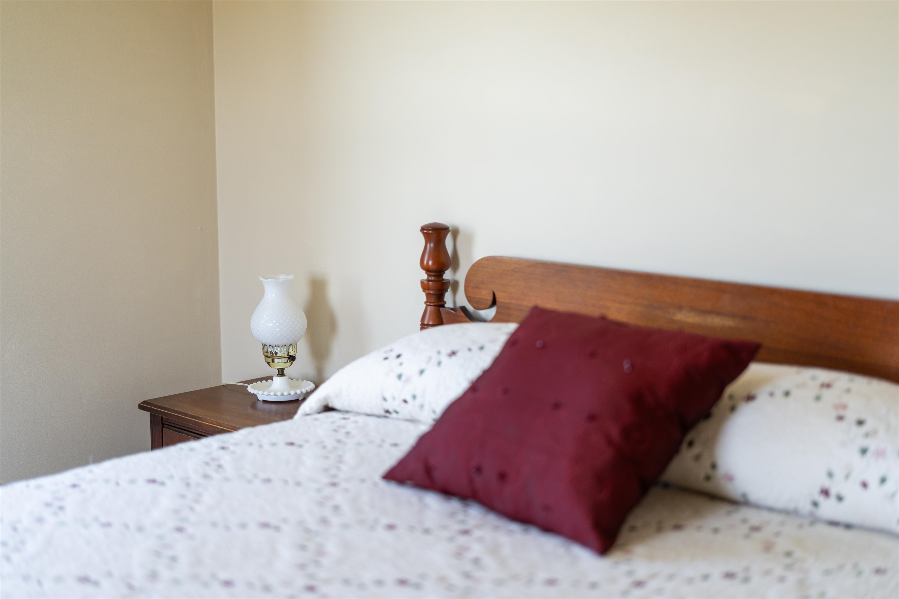 899 Timber Ridge Road Fairfield, VA 24435 - Photo 51 of 65 a bedroom with a bed and a lamp