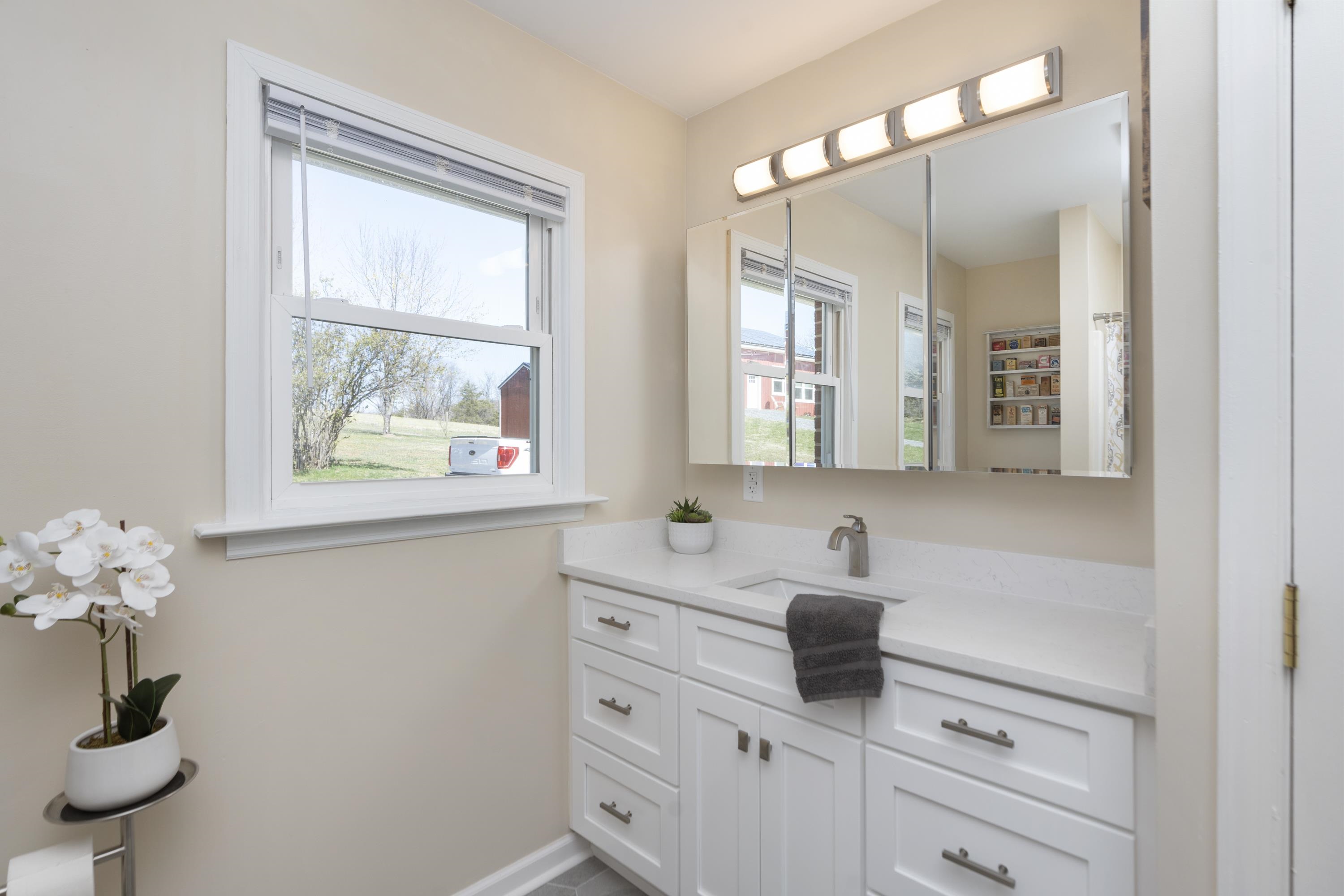 899 Timber Ridge Road Fairfield, VA 24435 - Photo 54 of 65 Full Renovated Bathroom