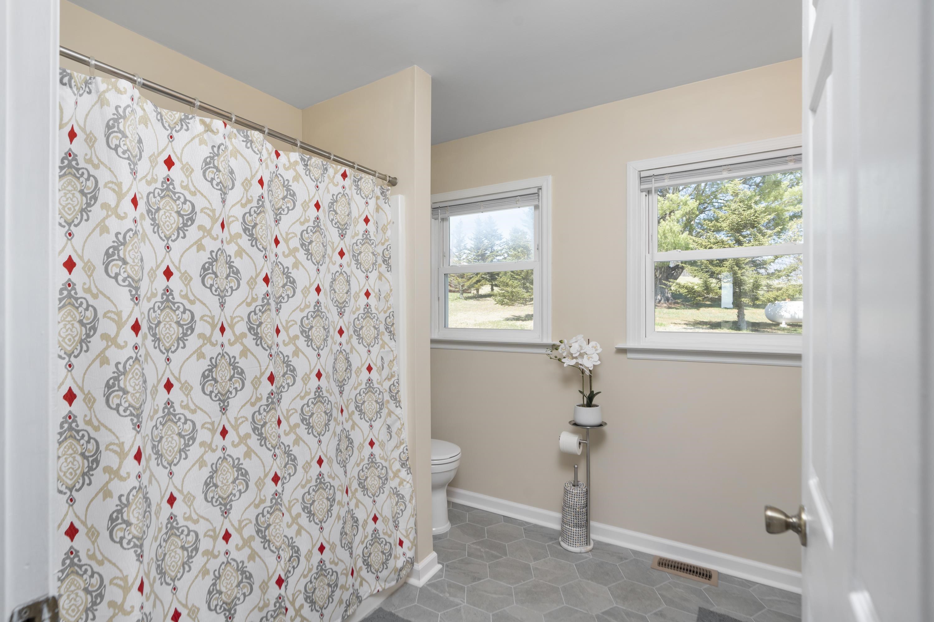 899 Timber Ridge Road Fairfield, VA 24435 - Photo 57 of 65 a bathroom with a sink and a mirror
