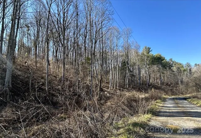 $69,200 | 99999 Lloyd Drive, Unit 3C, Mars Hill, NC 28754