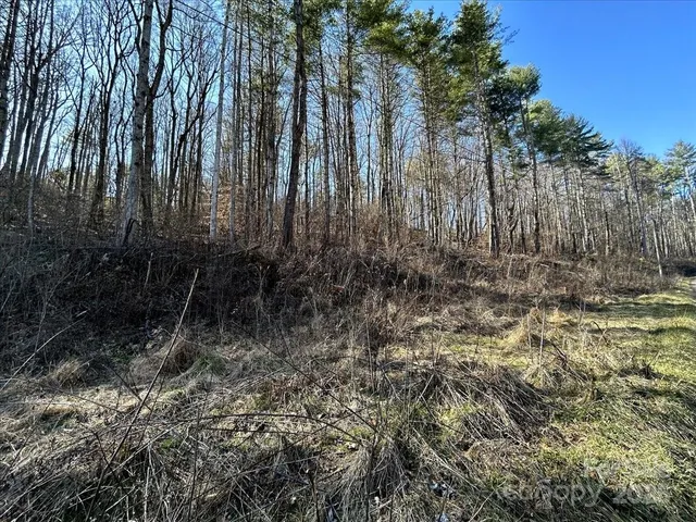 $69,200 | 99999 Lloyd Drive, Unit 3C, Mars Hill, NC 28754