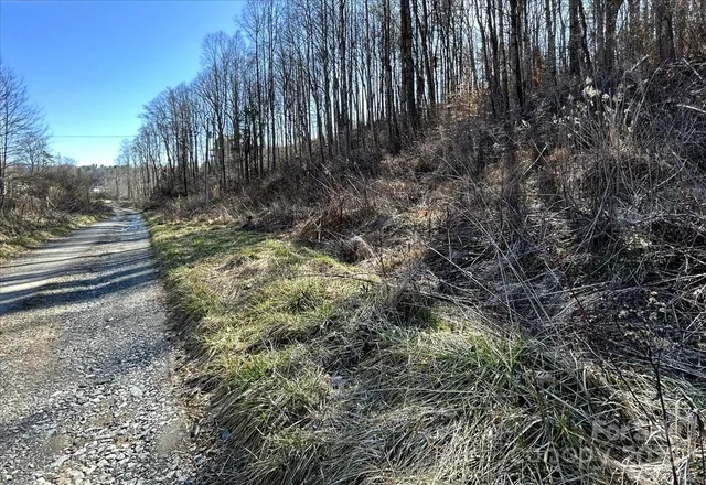 $69,200 | 99999 Lloyd Drive, Unit 3C, Mars Hill, NC 28754