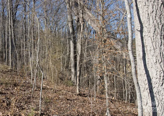 $69,200 | 99999 Lloyd Drive, Unit 3C, Mars Hill, NC 28754