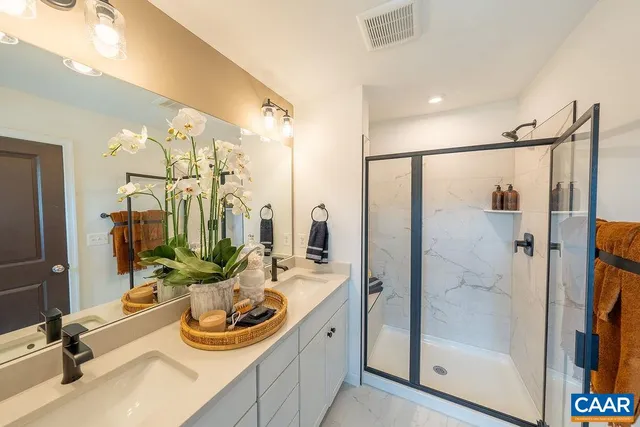 a bathroom with a sink a mirror and a shower