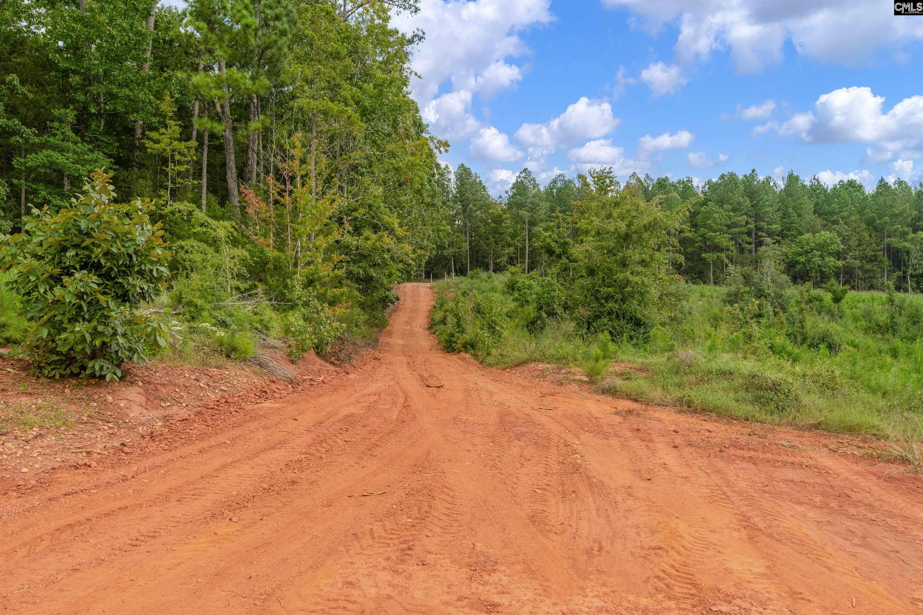 0 Penner Road, Unit 7 Jenkinsville, SC 29065 - Photo 28 of 36