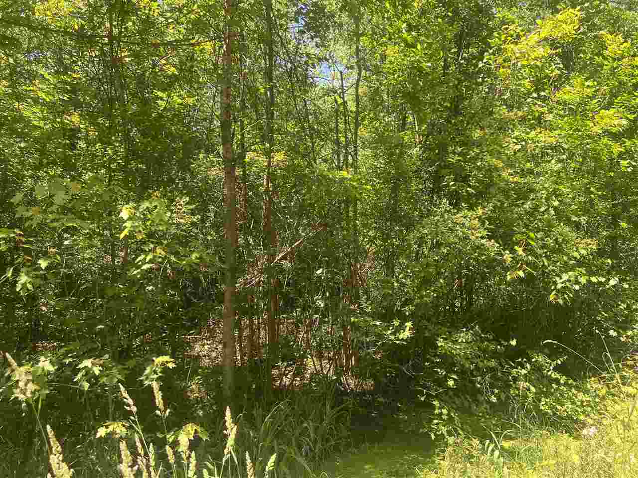 20-acres Roehrs Beaverton, MI 48612 - Photo 8 of 18 Gallery Image 8