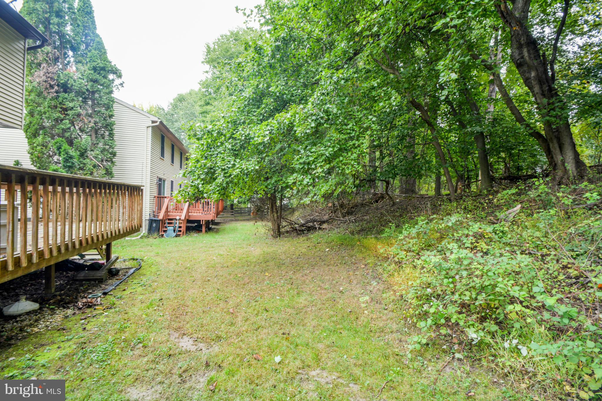4825 Hawksbury Road Baltimore, MD 21208 - Photo 27 of 29 a view of backyard with trees