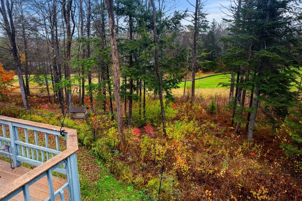 7 Par Brae Grantham, NH 03753 - Photo 38 of 42 a view of lake from balcony