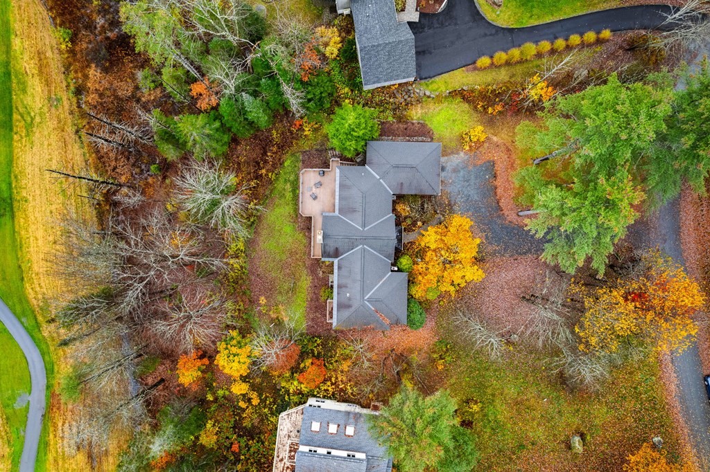 7 Par Brae Grantham, NH 03753 - Photo 39 of 42 a bird view of tall trees