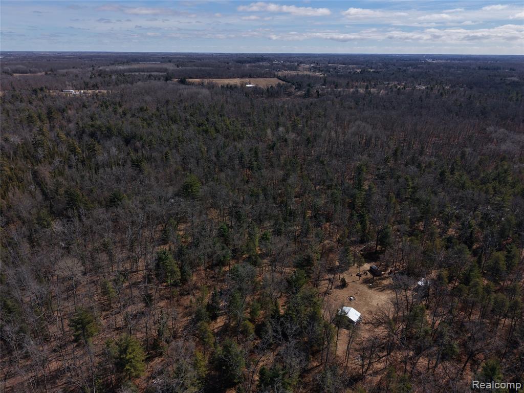 3770 Bovee Lake Road Prescott, MI 48756 - Photo 8 of 11