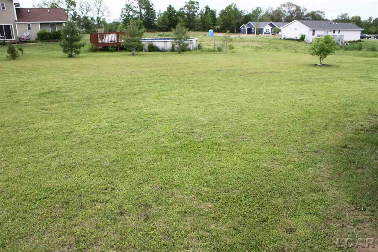 3558 Sutton Road Tecumseh, MI 49286 - Photo 19 of 20 Spacious Yard