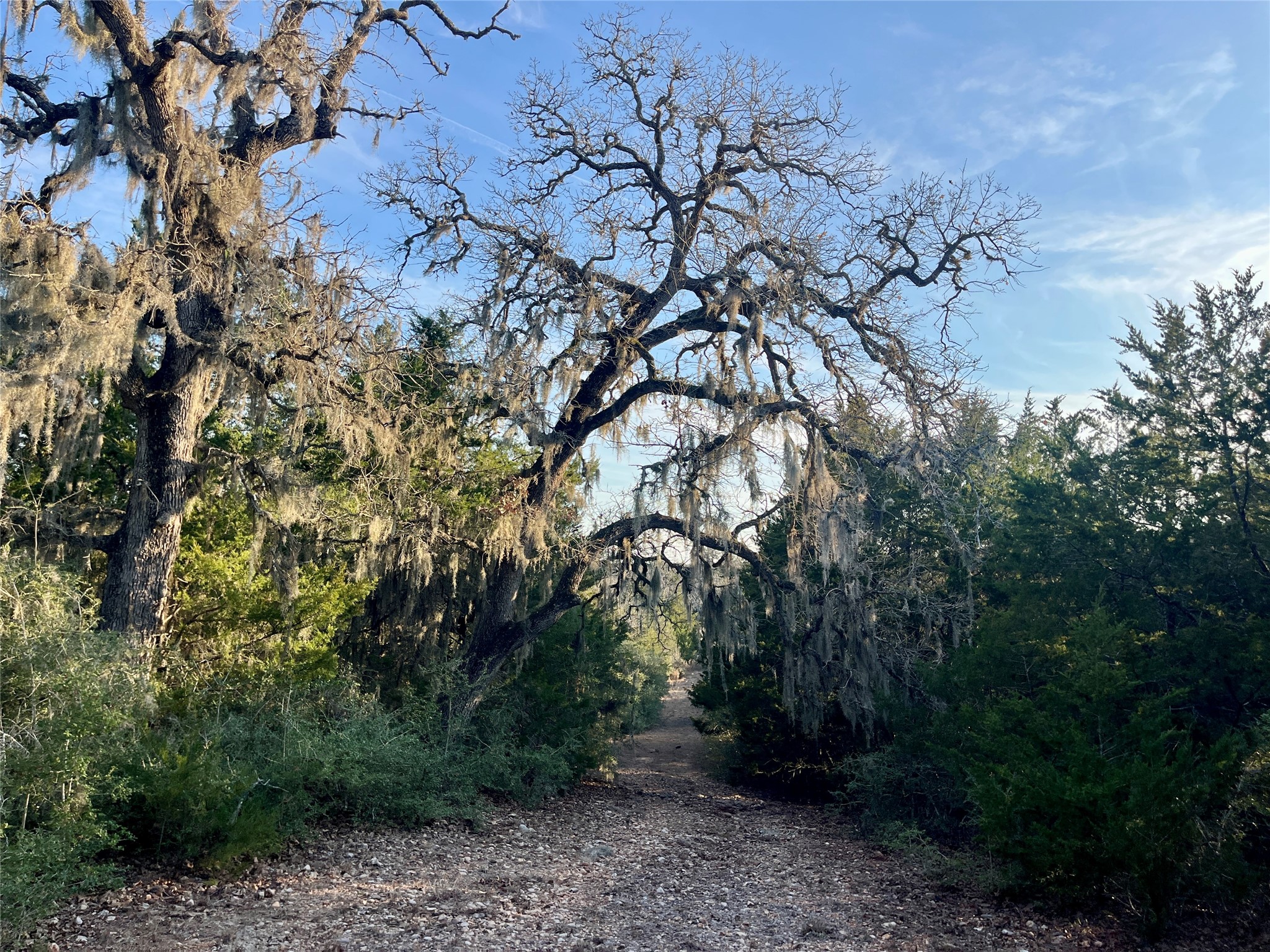 Tbd Hayek Road Columbus, TX 78934 - Photo 11 of 19