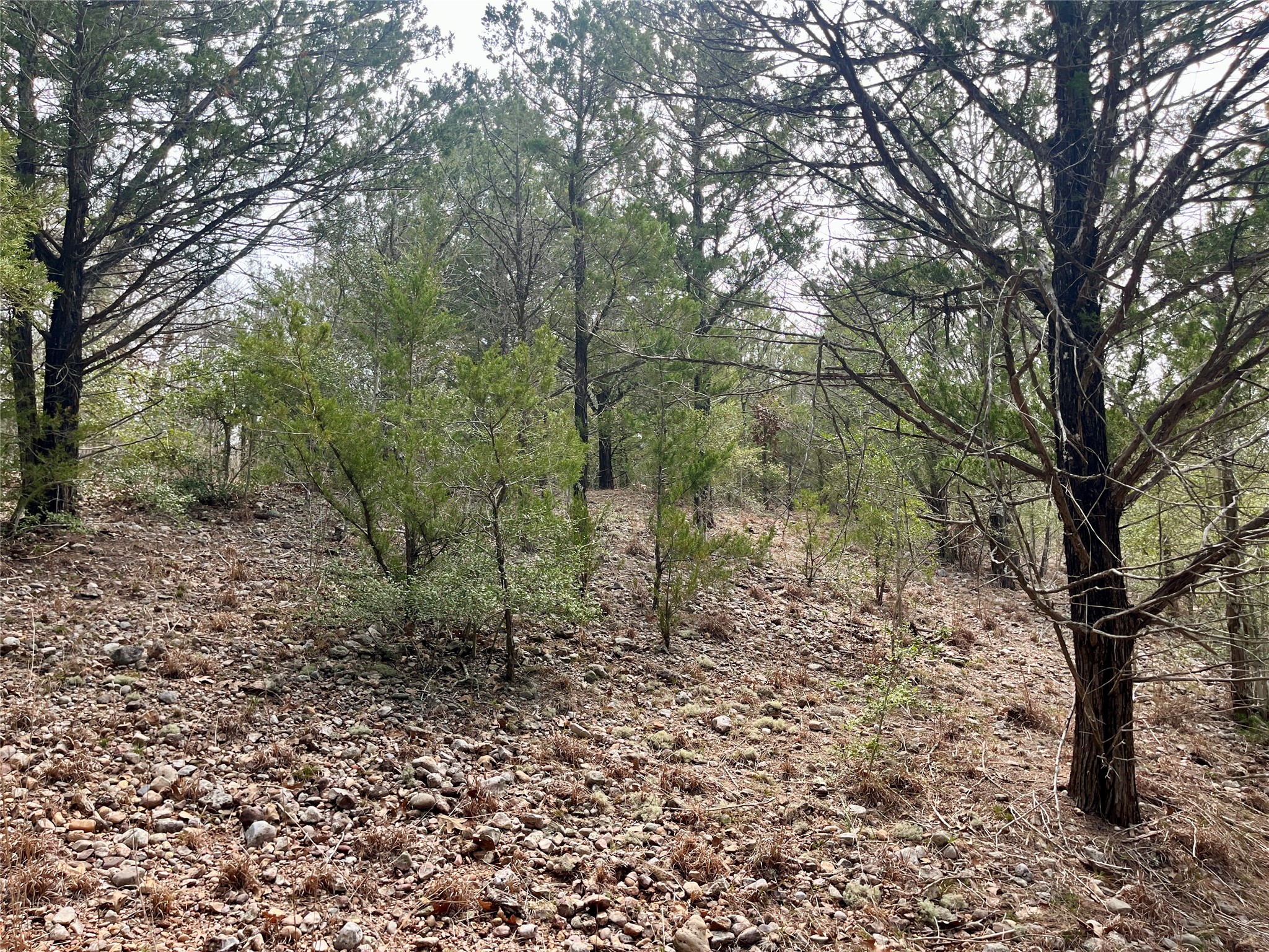 Tbd Hayek Road Columbus, TX 78934 - Photo 13 of 19